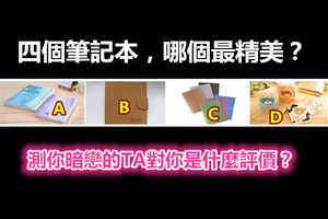 四个笔记本，哪个最精美？测你暗恋的TA对你是什么评价？ 