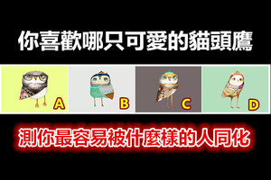 你喜欢哪只可爱的猫头鹰，测你最容易被什么样的人同化