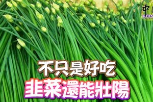 韭菜不只是好吃 ，還能壯陽。韭菜具有壯陽功效？