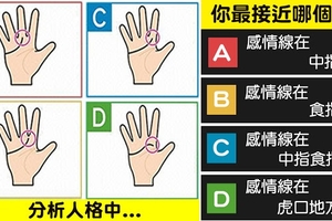 你的手相最接近下圖中何者？一秒神準分析你的「全方位人格」！