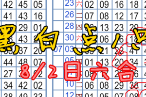 8月2日六合彩黑白點1隻 你說開不開