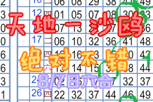 8月7日六合彩 天地一沙鷗