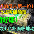 中国打响反击第一枪！又一行业将被颠覆，韩龙头企业面临地动山摇！