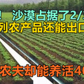 奇迹！沙漠占据了2/3国土，一个农夫却能养活400人，以色列农产品还能出口全球