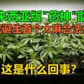 马来西亚版“药神”助攻，亚洲或诞生首个大麻合法化国家，这是什么回事？