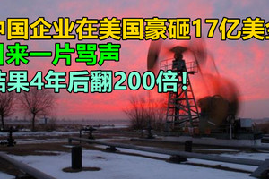 中国企业在美国豪砸17亿美金，引来一片骂声，结果4年后翻200倍！