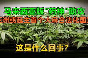 马来西亚版“药神”助攻，亚洲或诞生首个大麻合法化国家，这是什么回事？