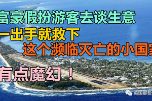 富豪假扮游客去谈生意，一出手就救下这个濒临灭亡的小国家，有点魔幻！