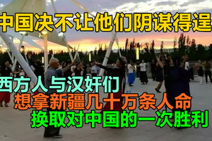 西方人与汉奸们想拿新疆几十万条人命换取对中国的一次胜利，中国决不让他们阴谋得逞！