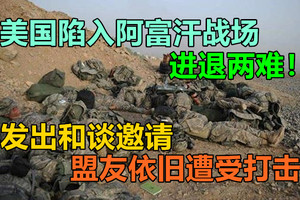 美国陷入阿富汗战场，进退两难！发出和谈邀请，盟友依旧遭受打击