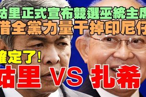 確定了姑里正式宣布競選巫統主席，藉助全黨力量剷除印尼仔阿末扎希