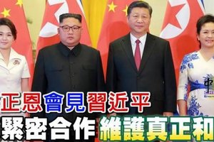 金正恩會見習近平 願緊密合作 維護真正和平