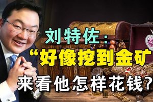 【大馬】劉特佐:「好像挖到金礦」 來看他怎樣花錢?