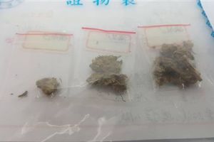 饒舌歌手攜毒遭逮　當街喊大麻除罪化