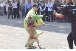 遇惡犬咬人怎麼辦，專家：拉尾矇眼，犬鍊纏腹脫身