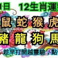 【12生肖运势】5月21日 星期一【88388】趁早打开越灵验，点个赞吧！