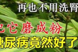 把它磨成粉，不僅降血壓、護肝，而且以後再也不用洗腎了，就連糖尿病也不見了！