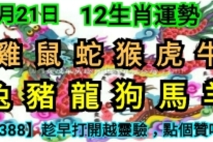 【12生肖运势】5月21日 星期一【88388】趁早打开越灵验，点个赞吧！