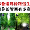 心理學：假如有壞人在後面追你，你會選哪條路逃跑？測你的智商高不高！