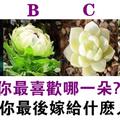 心理測試：選一朵預言花，預言你最後會嫁給什麼樣的人？