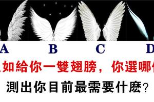 心理學：你想擁有哪雙翅膀？測出你現在更需要什麼？