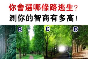 心理學：假如有壞人在後面追你，你會選哪條路逃跑？測你的智商高不高！