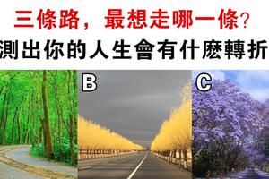 心理測試：3條路選1條，測出你未來有什麼大改變！