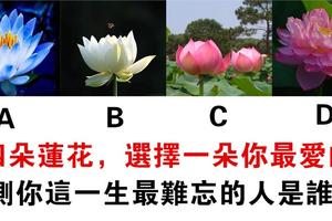 心理學：你最愛哪一朵蓮花？測你這今生最難忘的人是誰！