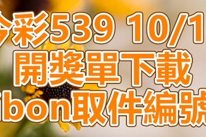 539 2018/10/19 開獎單下載 IBON 取單編號