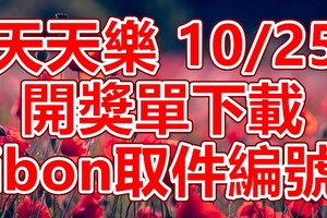 天天樂 2018/10/25 開獎單下載 IBON 取單編號