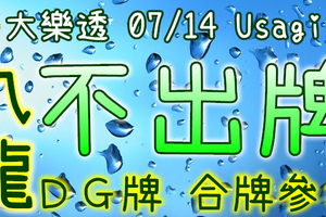 大樂透 2020/07/14 Usagi 九龍 精選低機號碼 供您參考