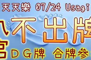 加州天天樂 2020/07/24 Usagi 九宮 精選低機號碼 供您參考