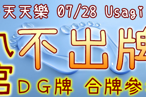 加州天天樂 2020/07/28 Usagi 九宮 精選低機號碼 供您參考