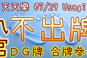 加州天天樂 2020/07/29 Usagi 九宮 精選低機號碼 供您參考