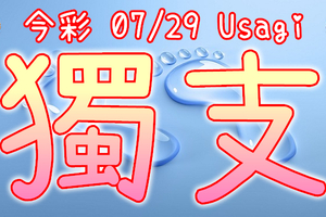 今彩539 2020/07/29 Usagi 精選獨支 全車 供您參考