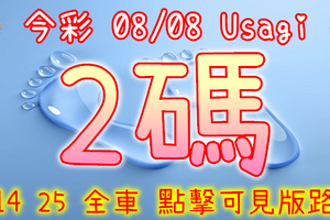 今彩539 2020/08/08 Usagi 精選獨支 全車 供您參考