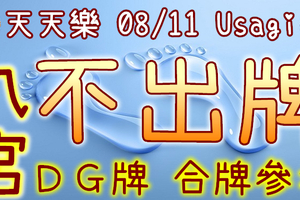 加州天天樂 2020/08/11 Usagi 九宮 精選低機號碼 供您參考