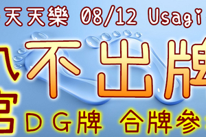 加州天天樂 2020/08/12 Usagi 九宮 精選低機號碼 供您參考