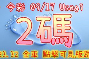 今彩539 2020/09/17 Usagi 精選2碼 全車 供您參考