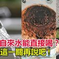 大马自来水能直接喝？能过这一关再说吧