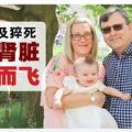 英国男游埃及猝死被切器官