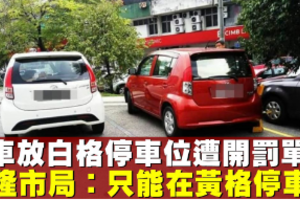 【駕駛人注意】車放白格停車位遭開罰單 隆市局：民眾只能在黃格停車 