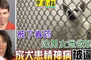 被下春药， 沦男女泄欲玩物， 家犬患精神病被迫死 ！