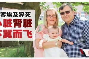 英国男游埃及猝死被切器官