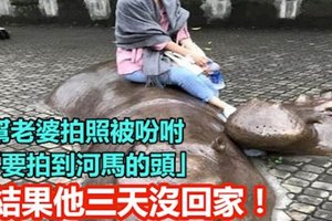 帮老婆拍照被吩咐“要拍到河马的头” 结果他三天没回家！