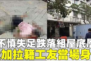 工友進行油漆粉刷工作　從13樓失足墜下慘死