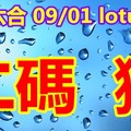 2018/09/01    香港六合   二碼參考全車