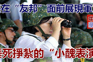 臺在「友邦」面前展現軍力 垂死掙紮的「小醜表演」