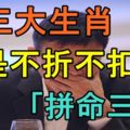 這三大生肖是不折不扣的「拚命三郎」！