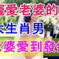 最寵愛老婆的三大生肖男，愛老婆愛到發瘋！